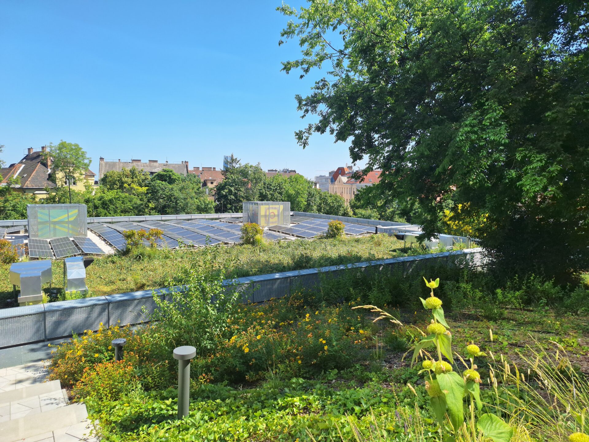 Gellért Campus Corvinus Egyetem - 