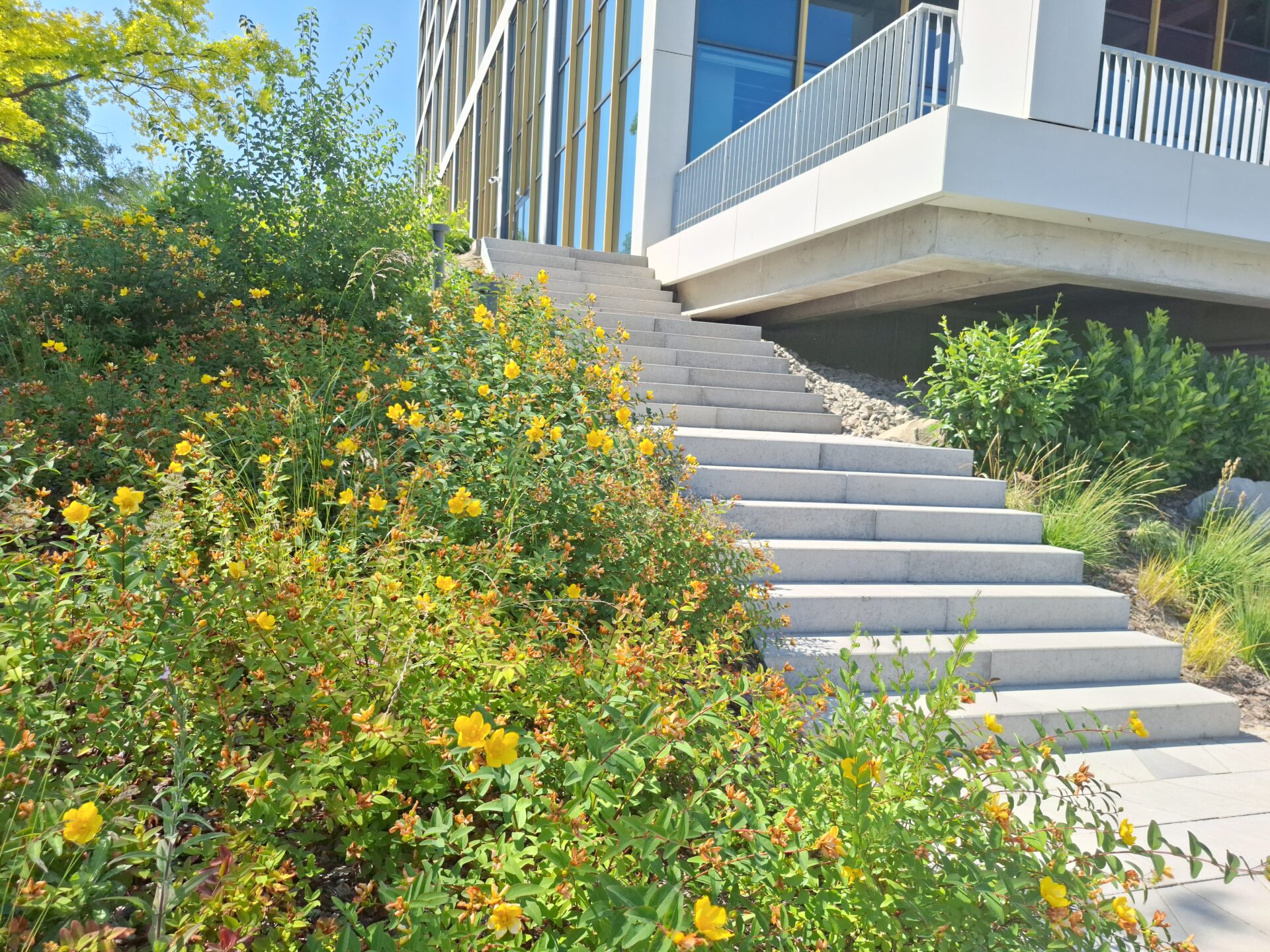Gellért Campus Corvinus Egyetem - 