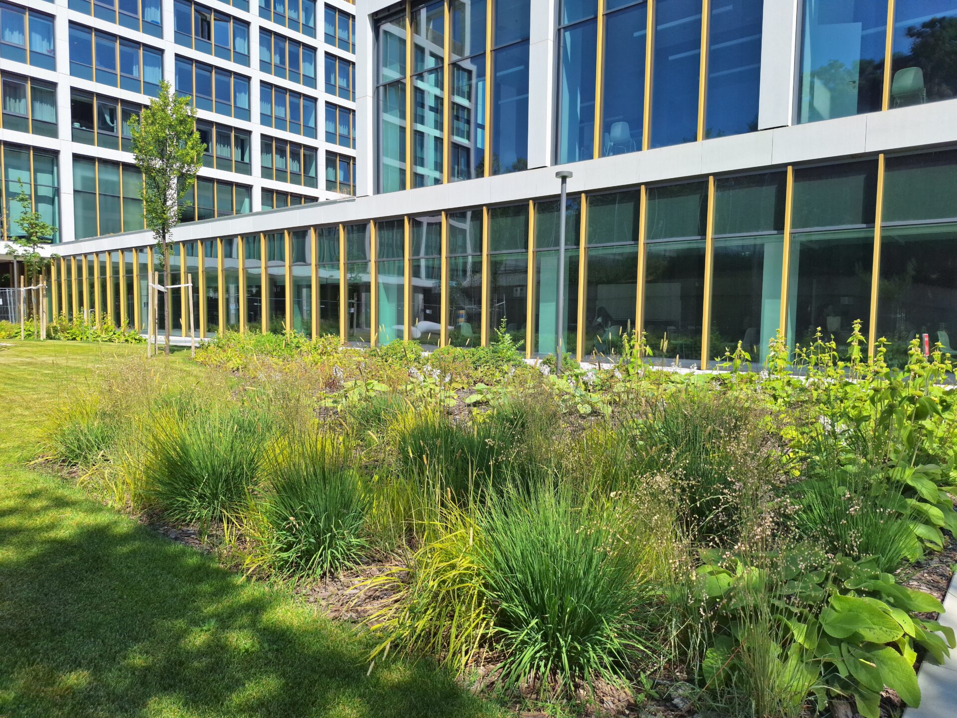 Gellért Campus Corvinus Egyetem - 