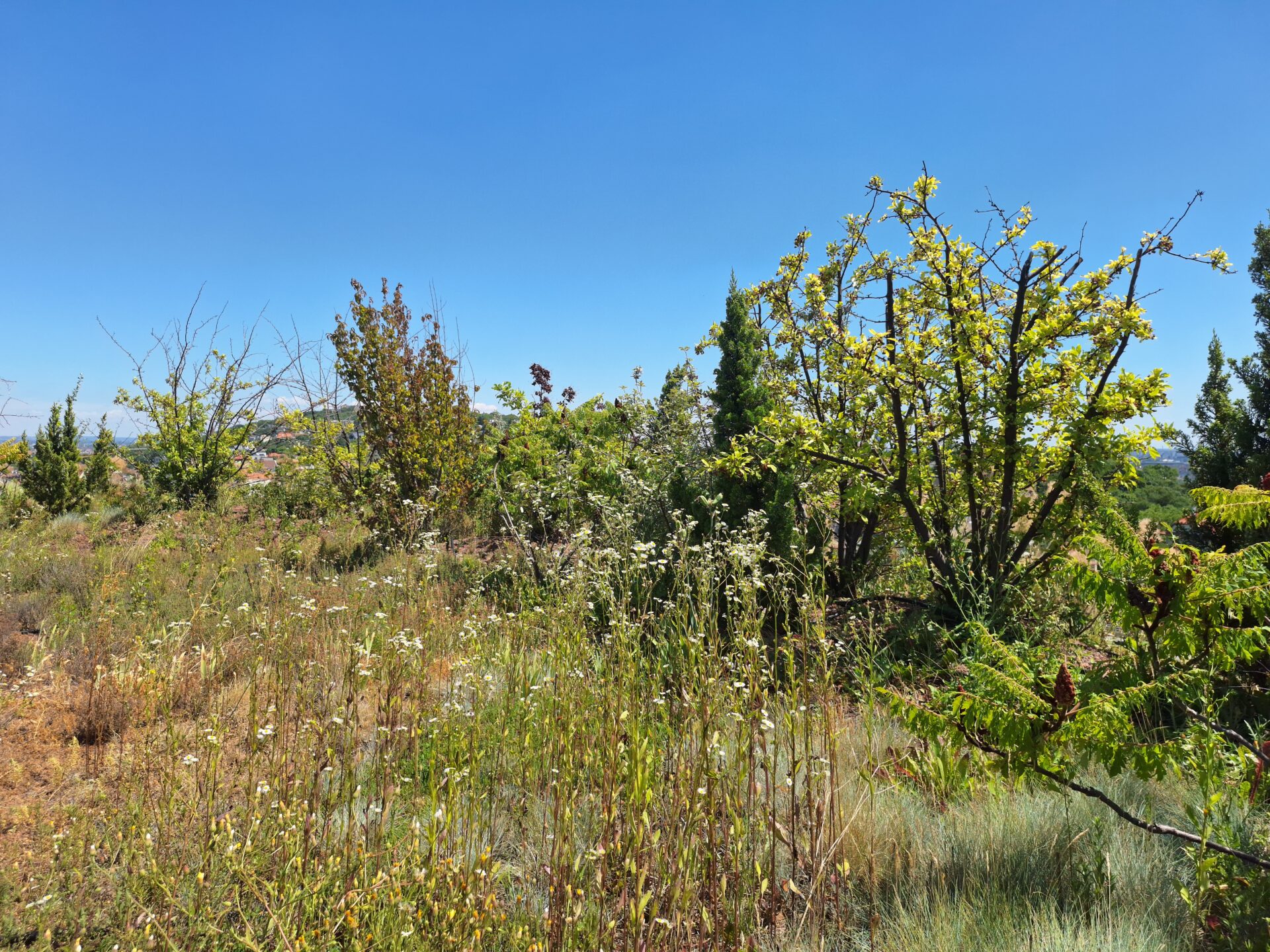 Hill Side Irodaház - 