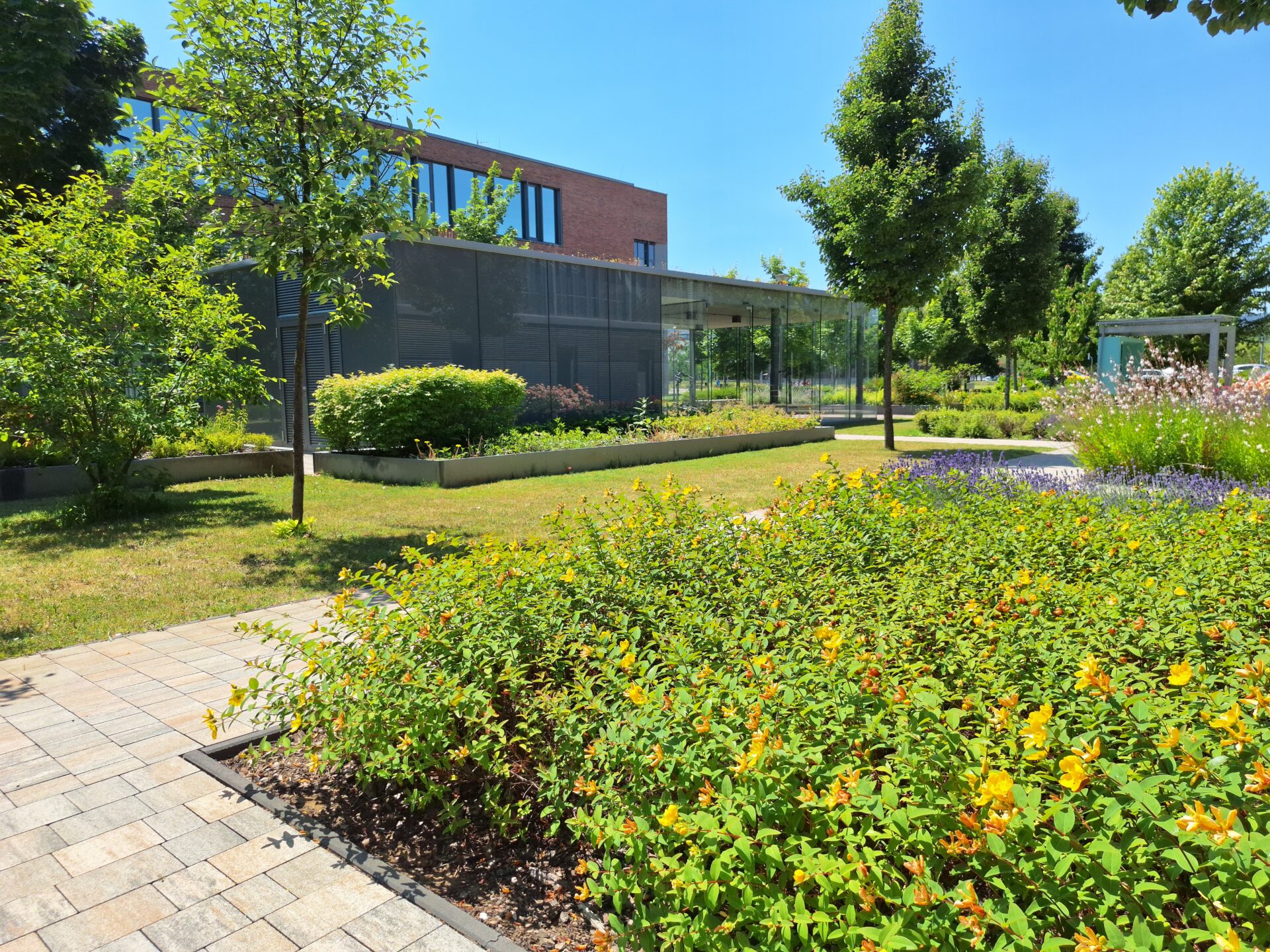 Graphisoft Park -