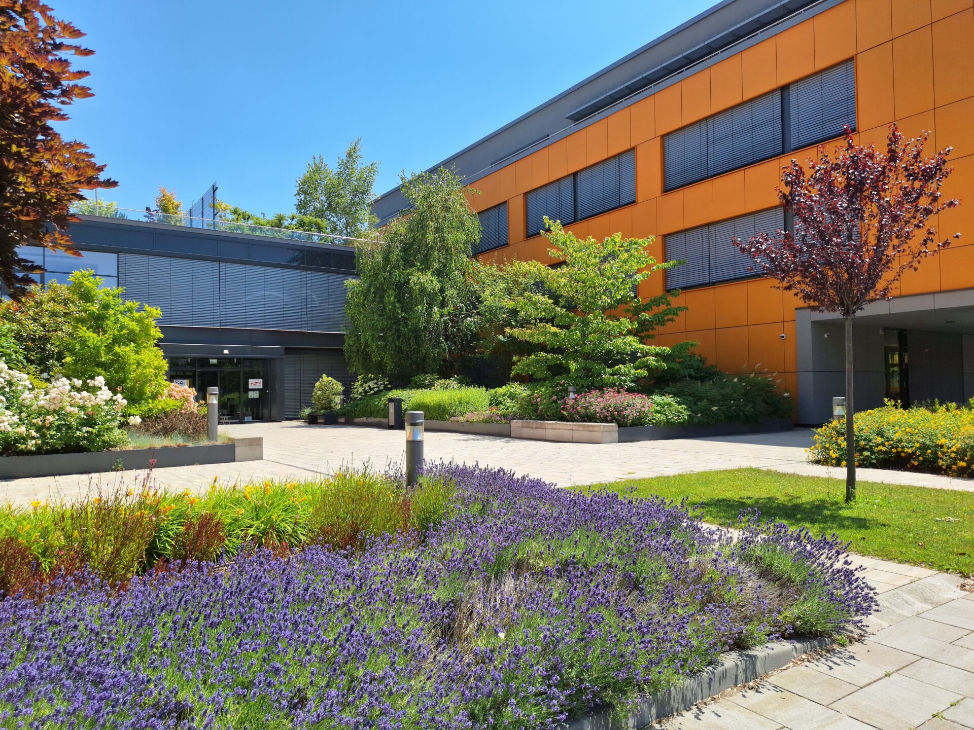 Graphisoft Park -