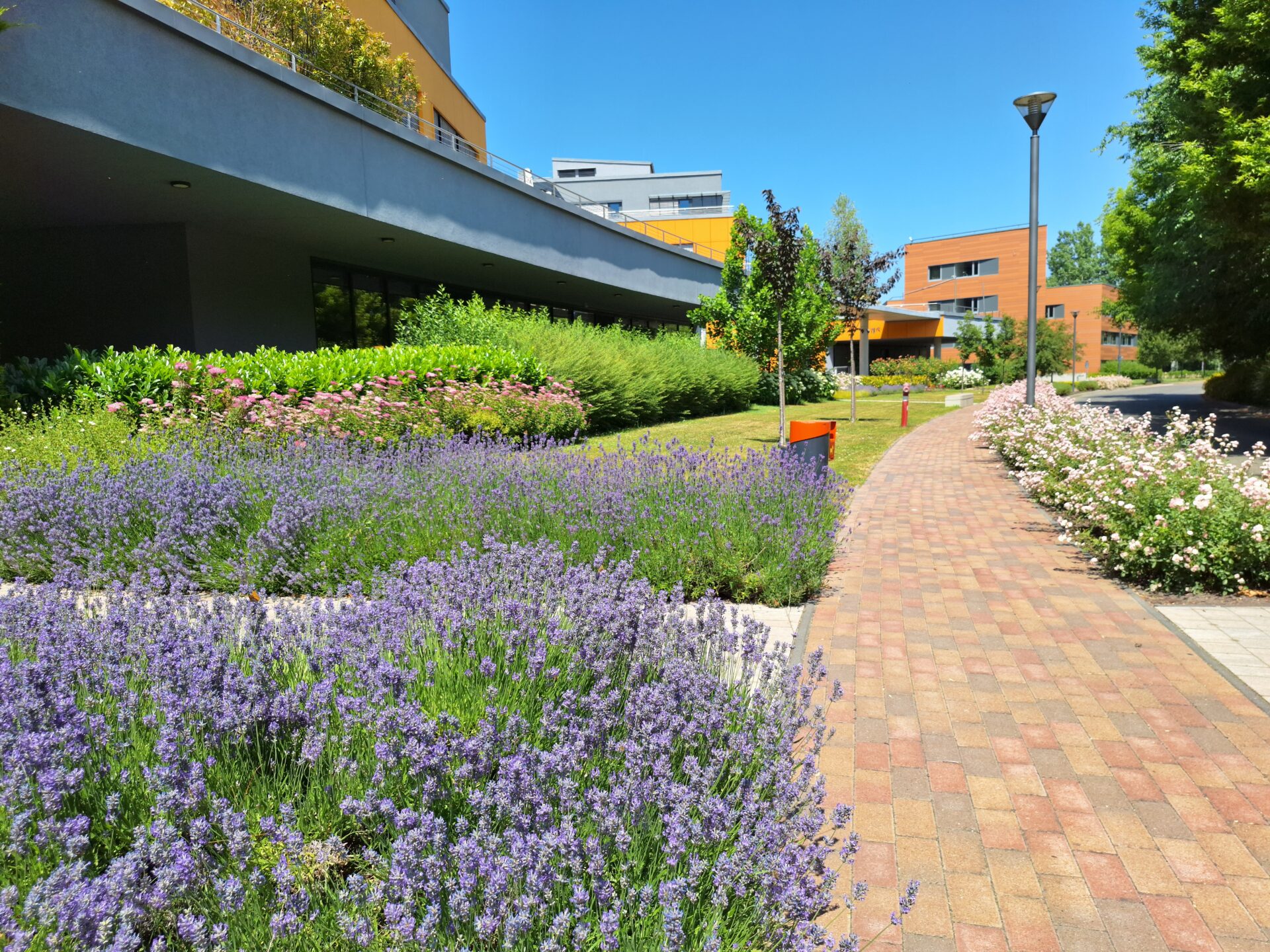 Graphisoft Park -