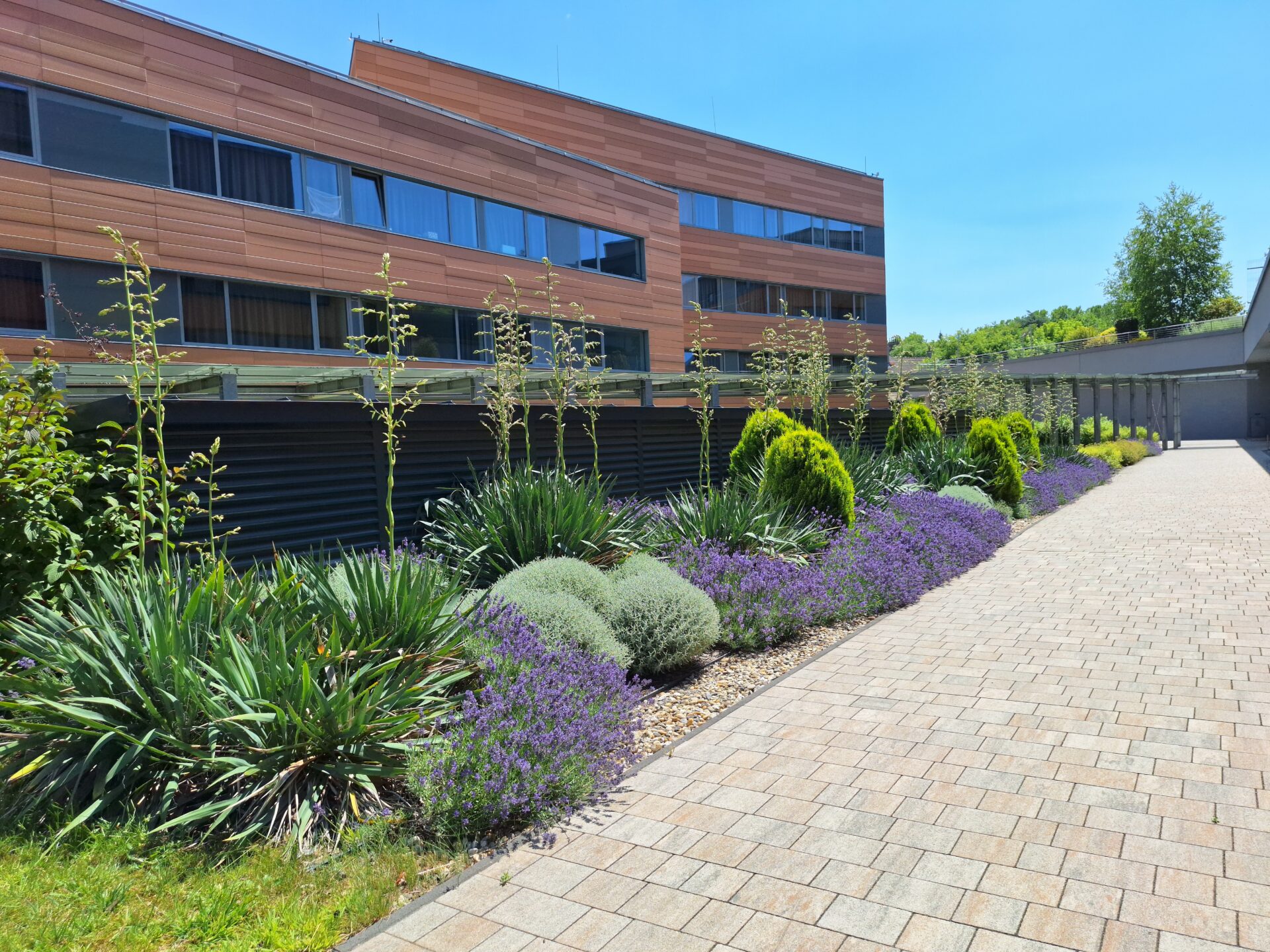 Graphisoft Park -